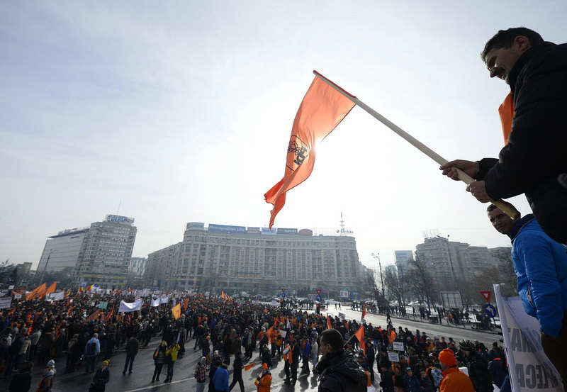 羅馬尼亞男子帶貓一同抗議政府 要求總理下臺