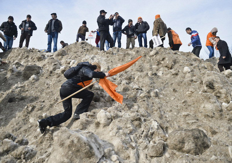 羅馬尼亞男子帶貓一同抗議政府 要求總理下臺