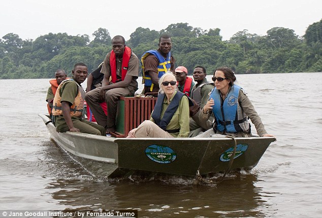 網上瘋傳黑猩猩回歸野外前與救命恩人熱情擁抱照片