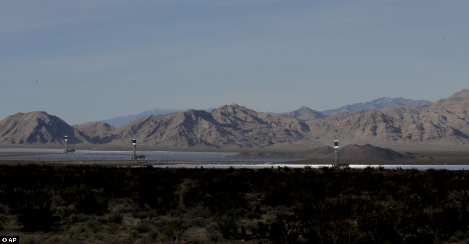 世界最大太陽能發電廠挨批 飛鳥誤闖后羽毛被烤焦
