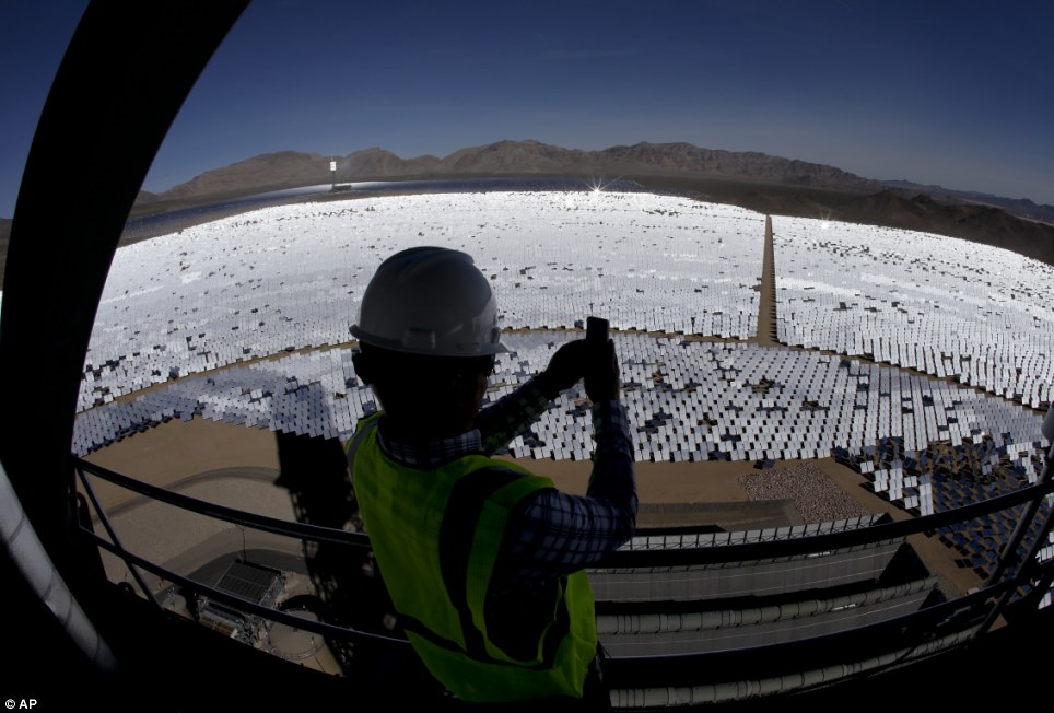 世界最大太陽能發電廠挨批 飛鳥誤闖后羽毛被烤焦