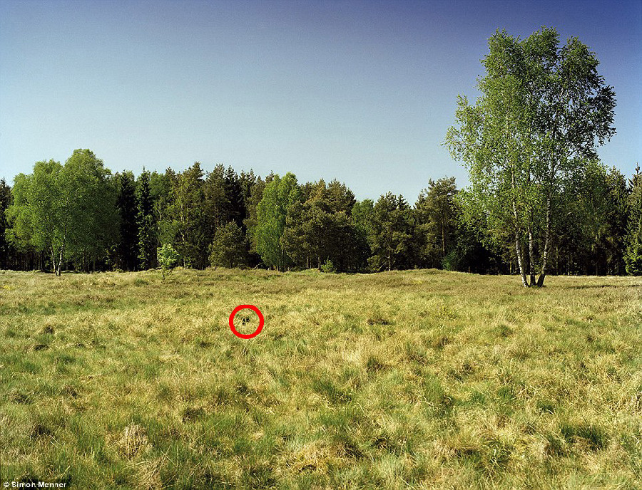 德國軍隊狙擊手藏身術(shù):與自然融為一體