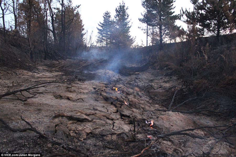 澳大利亞山火吞噬煤礦連燒三周 場景震撼似“火龍”