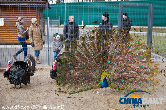 亞努科維奇稱自己用320萬美元買下基輔附近官邸