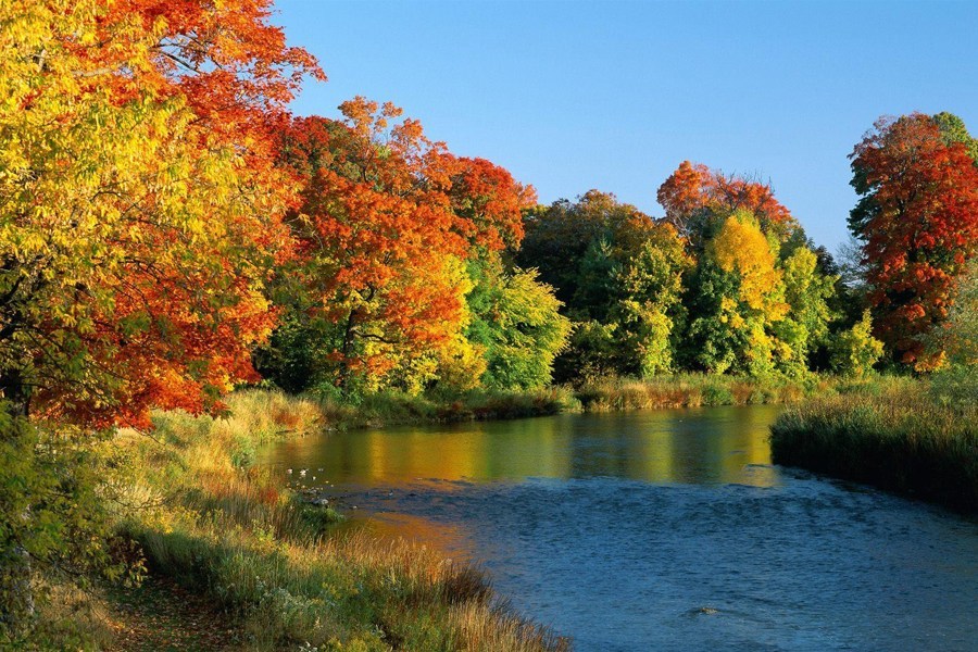 中國新移民改變世界:像中國制造一樣席卷全球