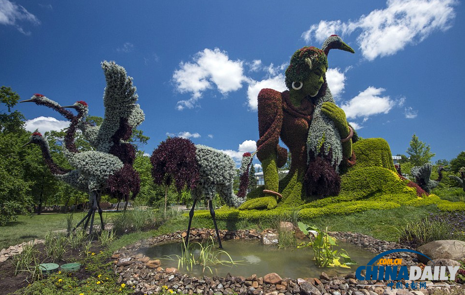 國際立體花壇大賽：和剪刀手愛德華“一決高下”