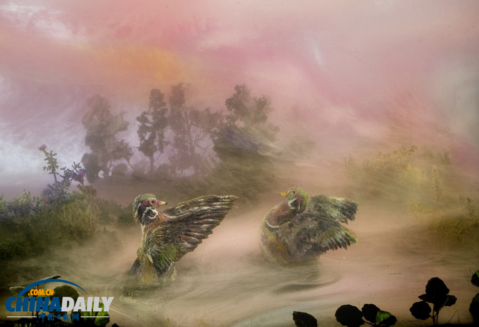 一缸一世界：美藝術家用魚缸和顏料創(chuàng)史前唯美景觀