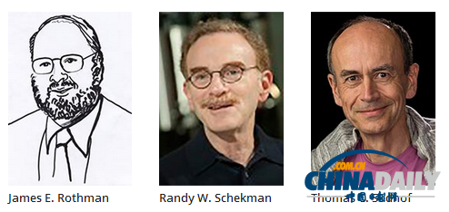 諾貝爾獎生理學和醫學獎揭曉 物理學獎存懸念