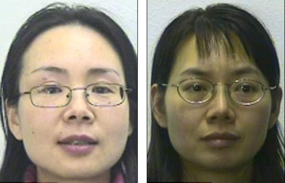 英華人姐妹為“蛇頭”洗錢獲罪 出獄后花黑錢再被抓