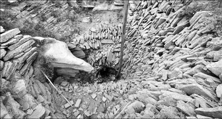 Drought leaves millions facing shortage of water