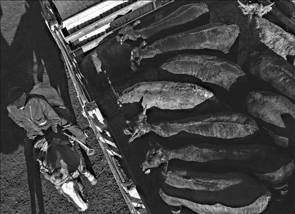 Argentina's reign as king of beef is over