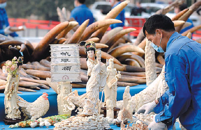 Agencies curtail ivory smuggling