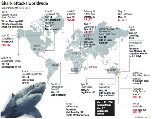 Professional surfer mauled by shark