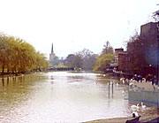 Shakespeare's Birthday(莎士比亞誕辰紀(jì)念日)