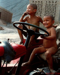 開車時(shí)想點(diǎn)啥?性?還是紅綠燈?