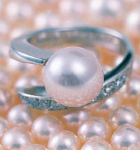 珍珠是怎樣養(yǎng)殖的？