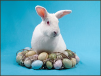 Easter Traditions 復活節習俗