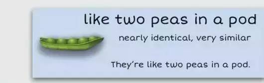 萌你一臉的生活常用諺語！