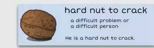 萌你一臉的生活常用諺語！