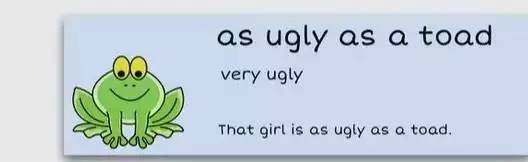 萌你一臉的生活常用諺語！