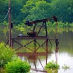 Some western workhorses don't eat hay