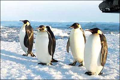 Good Luck Chuck《幸運查克》精講之四