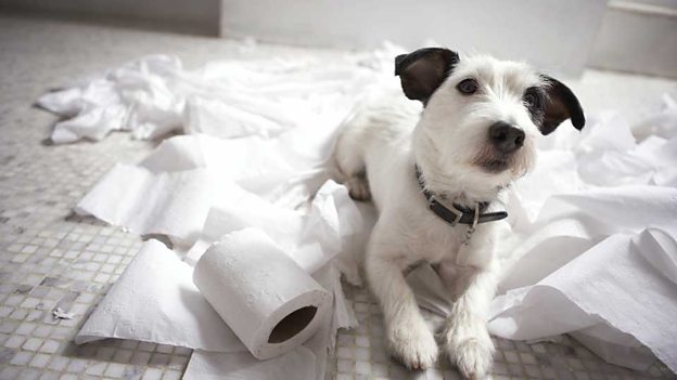 Acknowledge and admit 兩個表示“承認”單詞的區(qū)別