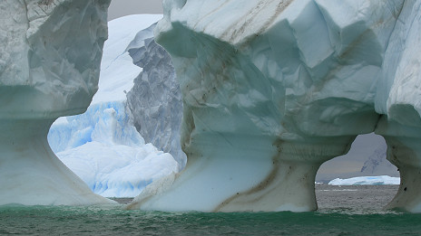 The end of whaling for Japan? 日本捕鯨業末日來臨?