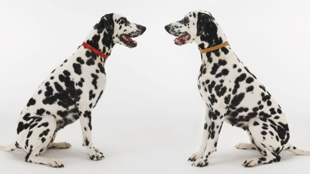 Six of one, half a dozen of the other 半斤八兩，不相上下