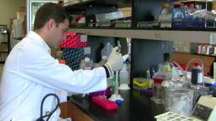 留學問答:到英國讀醫學博士