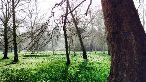 留學(xué)日記:也談思鄉(xiāng)情懷