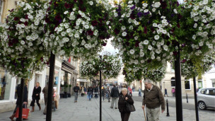 留學(xué)日記:我的失去與偉大