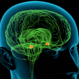 留學問答:心理學碩士