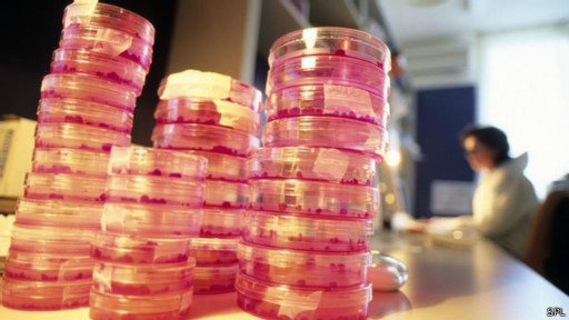 經合組織:聰明缺信心 女孩怵科學