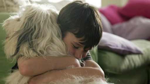 調查顯示兒童信任寵物更勝于兄弟姐妹