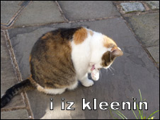 Internet English 網(wǎng)絡英語