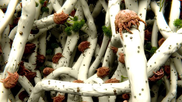 How safe is your bed? 你的床安全嗎?