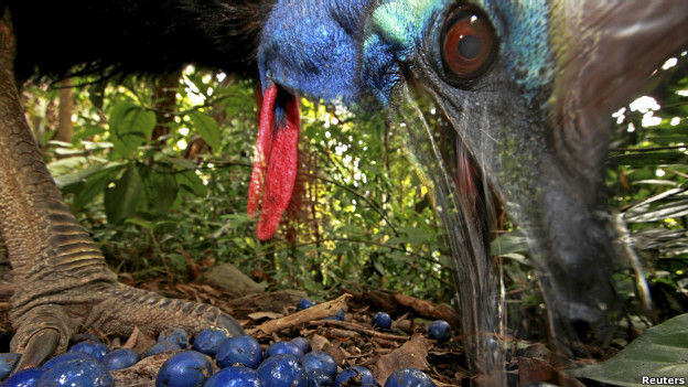 Blue in the face 徒勞無功