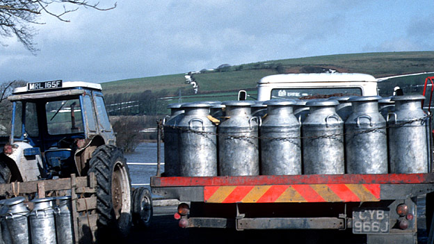 Get a load of this! 快來看!