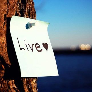 Purpose in life 如何找到人生目標(biāo)?