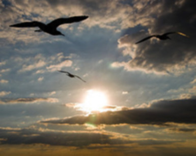 今年你想挑戰什么