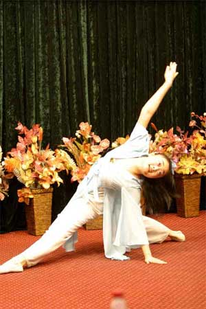 十余駐華外交官出席外經貿外語文化節