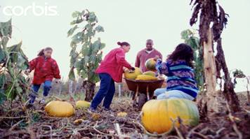 “農家樂”英語怎么說