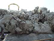 石頭也能“敗家”？