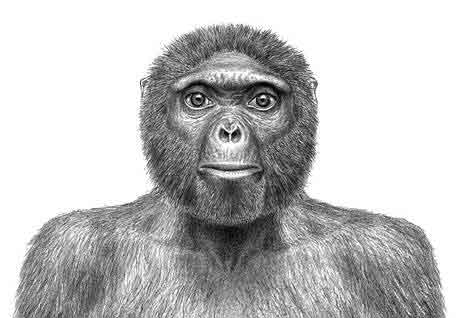 美國國家地理09年度十大科學發現