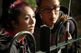 走近香港國際電影節