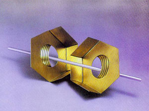 13個你可能不知道的生命真相