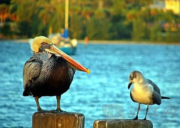 交談的藝術(shù)：如何HOLD住一場對(duì)話