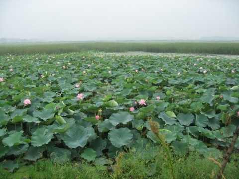 齊山—平天湖風景區