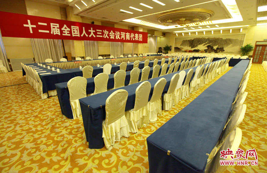 兩會花絮：會場內外美妙的“線條”